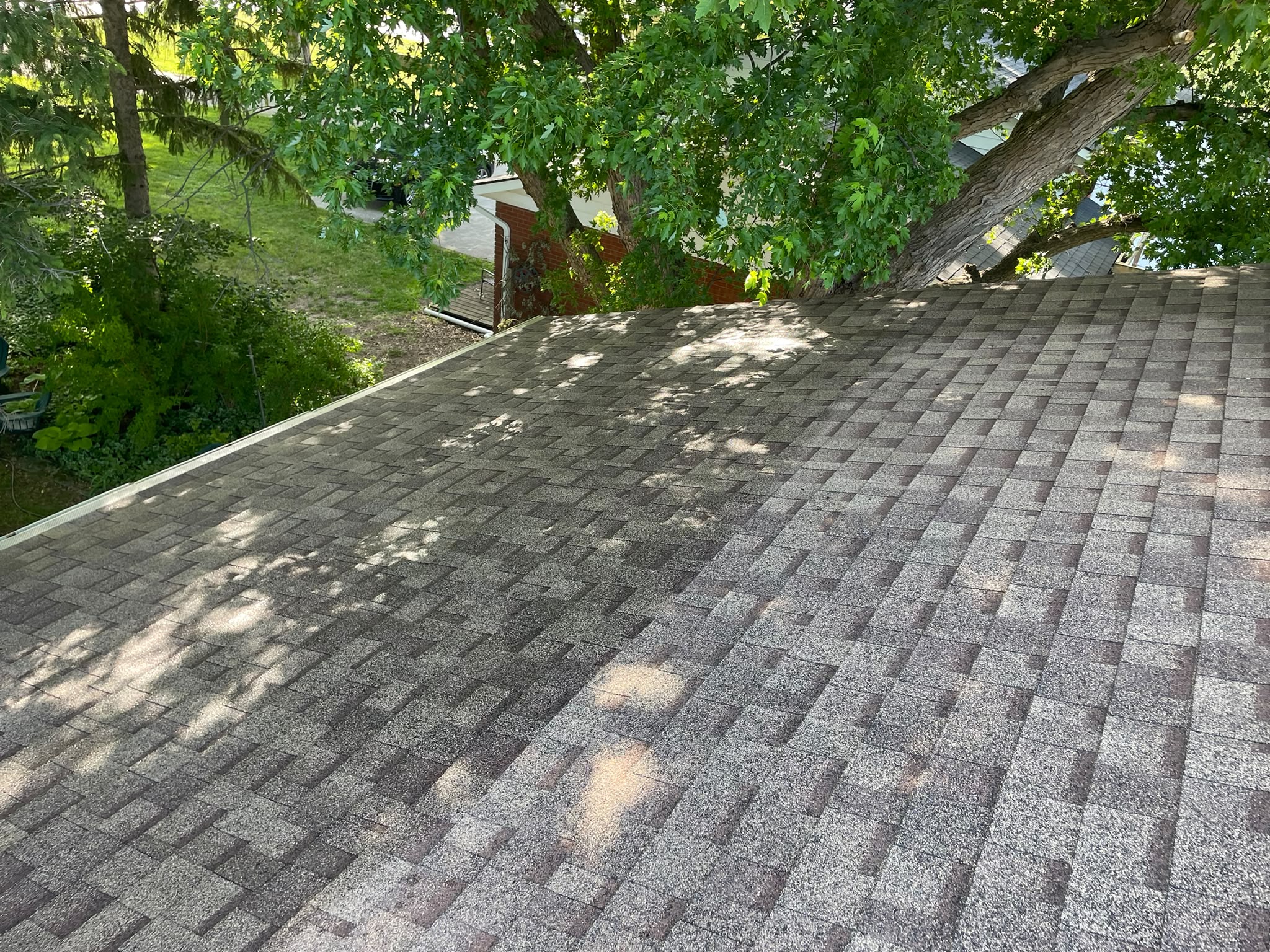 Completed local asphalt shingle roof protection project